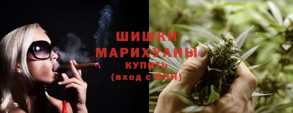 ПСИЛОЦИБИНОВЫЕ ГРИБЫ Арсеньев