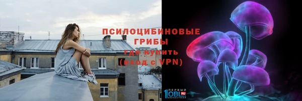 гашик Алексеевка