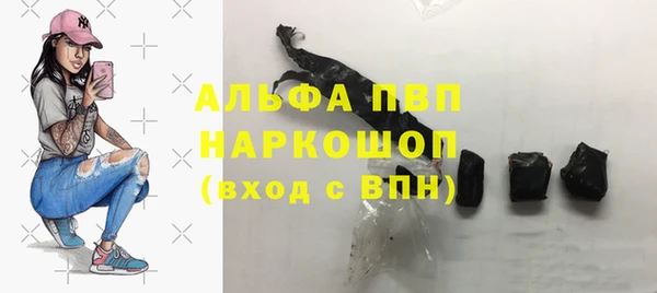 гашик Алексеевка