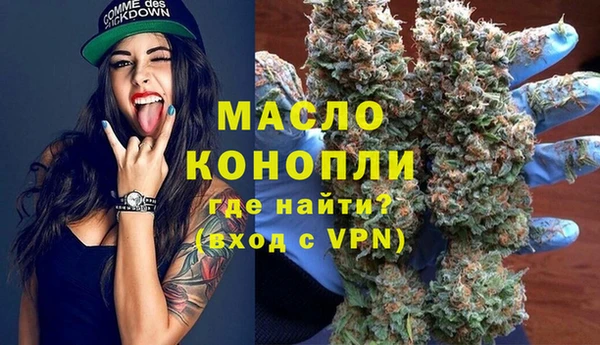 гашик Алексеевка