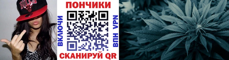 продажа наркотиков  Искитим  Канабис планчик 
